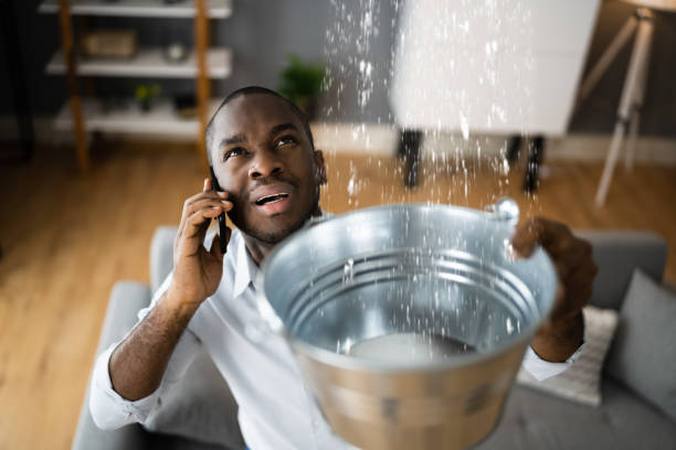 Best Emergency water damage restoration  in Huntland, TN