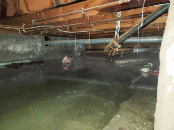 Best Fire Damage Restoration  in Huntland, TN