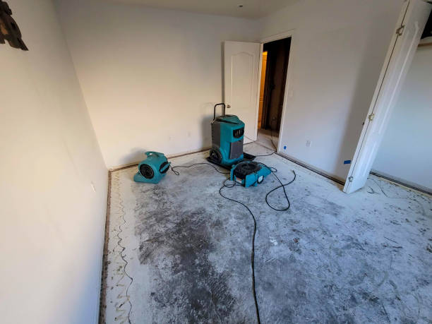 Best Water damage contractors near me  in Huntland, TN