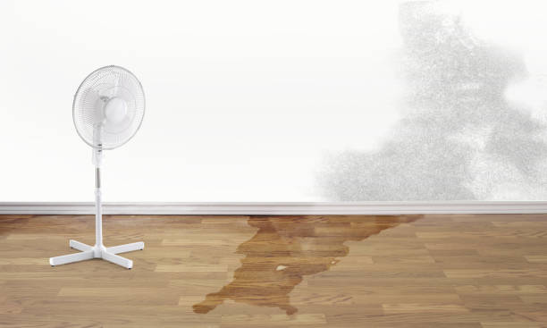 Best Water damage restoration process  in Huntland, TN