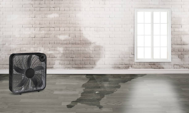 Best 24/7 water damage repair  in Huntland, TN