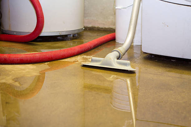  Huntland, TN Water damage restoration Pros