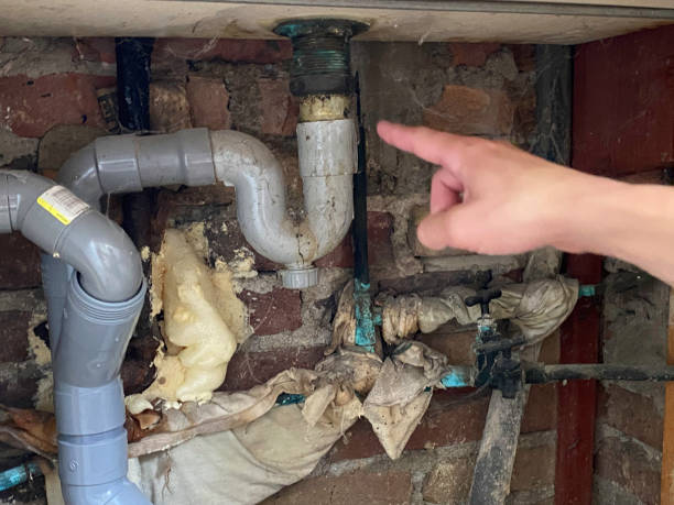 Best Flooded house restoration  in Huntland, TN