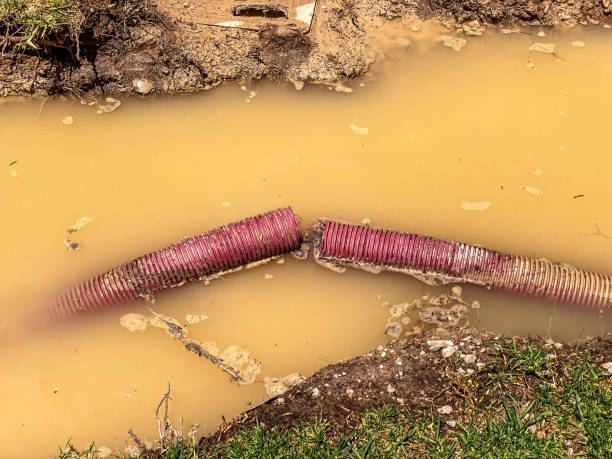 Best Water damage restoration cost  in Huntland, TN