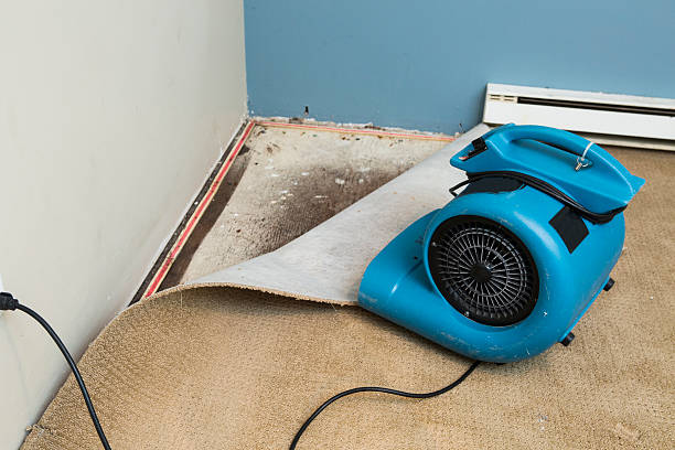 Water damage restoration process in Huntland, TN