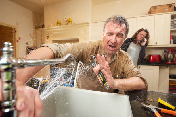 Best Flood restoration services  in Huntland, TN